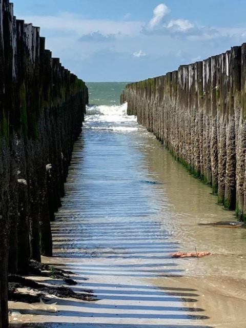 Duinstrand Burgh-Haamstede Exteriér fotografie