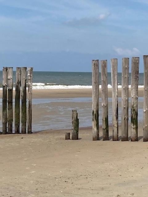 Duinstrand Burgh-Haamstede Exteriér fotografie