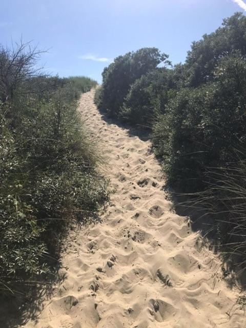 Duinstrand Burgh-Haamstede Exteriér fotografie